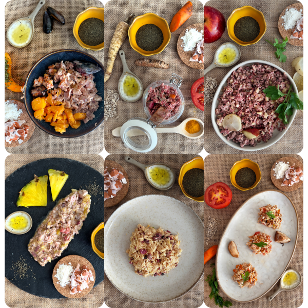 El Tapeo - Mix 6 platos | Menú Cocinado para perros