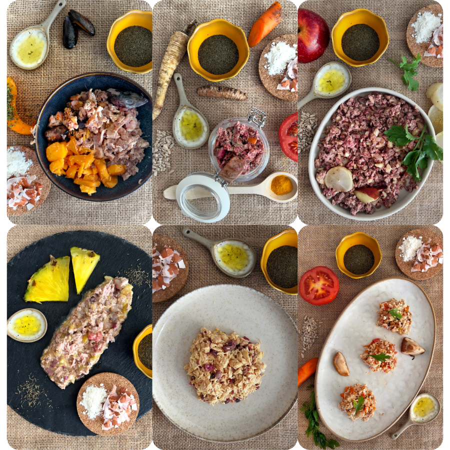 El Tapeo - Mix 6 platos | Menú Cocinado para perros
