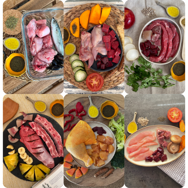 El Tapeo - Mix 6 platos | Menú BARF para perros