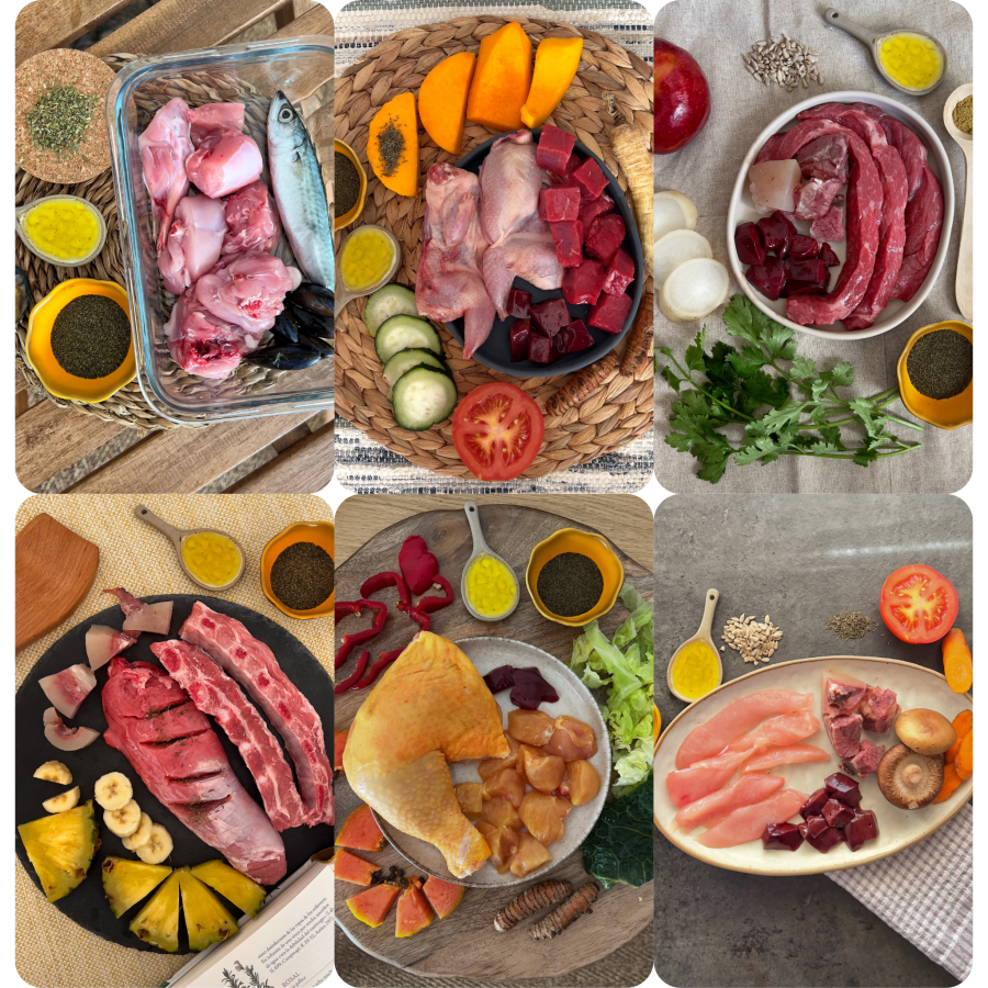 El Tapeo - Mix 6 platos | Menú BARF para perros